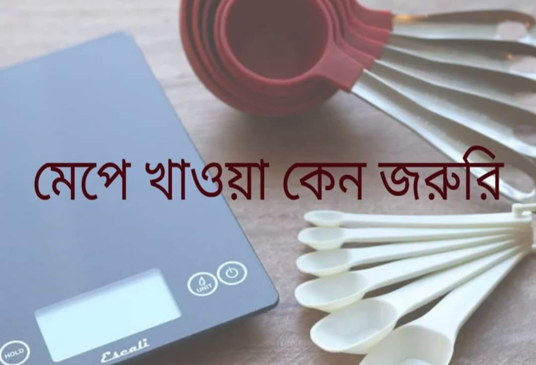 ডায়েটে কিচেন স্কেলে মেপে খাওয়া কেন জরুরী?